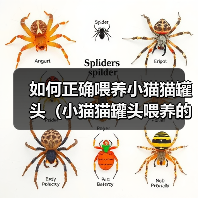 如何正确喂养小猫猫罐头（小猫猫罐头喂养的技巧与注意事项）（图2）