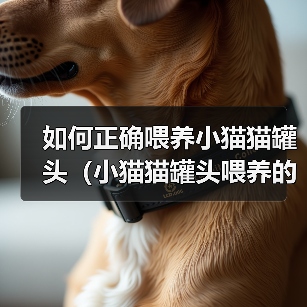 如何正确喂养小猫猫罐头（小猫猫罐头喂养的技巧与注意事项）（图1）