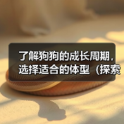 了解狗狗的成长周期,选择适合的体型(探索不同体型狗狗的成长需求与特点)(图1) 了解狗狗的成长周期,选择适合的体型(探索不同体型狗狗的成长需求与特点)(图1)
