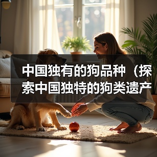 中国独有的狗品种(探索中国独特的狗类遗产)(图3) 中国独有的狗品种(探索中国独特的狗类遗产)(图3)
