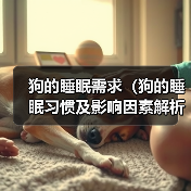 狗的睡眠需求(狗的睡眠习惯及影响因素解析,找寻适合狗狗的睡眠时间)(图3) 狗的睡眠需求(狗的睡眠习惯及影响因素解析,找寻适合狗狗的睡眠时间)(图3)