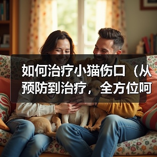 如何治疗小猫伤口（从预防到治疗，全方位呵护小猫的伤口）（图4）