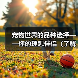 宠物世界的品种选择——你的理想伴侣(了解不同品种的宠物,找到适合自己的伙伴)(图1) 宠物世界的品种选择——你的理想伴侣(了解不同品种的宠物,找到适合自己的伙伴)(图1)