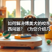 如何解决博美犬的咬东西问题?(为您介绍几种方法和技巧,让您的宠物停止咬东西。)(图1) 如何解决博美犬的咬东西问题?(为您介绍几种方法和技巧,让您的宠物停止咬东西。)(图1)