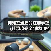 狗狗空运后的注意事项(让狗狗安全到达目的地的秘诀)(图2) 狗狗空运后的注意事项(让狗狗安全到达目的地的秘诀)(图2)