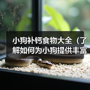 小狗补钙食物大全(了解如何为小狗提供丰富的补钙食物)(图2) 小狗补钙食物大全(了解如何为小狗提供丰富的补钙食物)(图2)