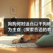 狗狗何时适合以干狗粮为主食（探索合适的喂养时间和食物过渡方法）（图3）
