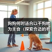 狗狗何时适合以干狗粮为主食（探索合适的喂养时间和食物过渡方法）（图2）