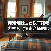 狗狗何时适合以干狗粮为主食（探索合适的喂养时间和食物过渡方法）（图1）