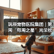 瑞辰宠物医院集团 | 第3周“每周之星”光荣榜（图2）