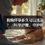 狗狗怀孕多久可以洗澡?(科学护理,守护母犬健康)(图4) 狗狗怀孕多久可以洗澡?(科学护理,守护母犬健康)(图4)