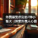 外国最受欢迎的7种小型犬(探索外国人心目中最受欢迎的小型犬,)(图3) 外国最受欢迎的7种小型犬(探索外国人心目中最受欢迎的小型犬,)(图3)
