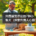 外国最受欢迎的7种小型犬(探索外国人心目中最受欢迎的小型犬,)(图1) 外国最受欢迎的7种小型犬(探索外国人心目中最受欢迎的小型犬,)(图1)