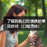 了解狗狗口腔溃疡的常见症状(口腔溃疡)(图1) 了解狗狗口腔溃疡的常见症状(口腔溃疡)(图1)