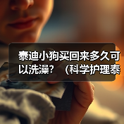 泰迪小狗买回来多久可以洗澡?(科学护理泰迪宝宝,洗澡时间一丝不差)(图2) 泰迪小狗买回来多久可以洗澡?(科学护理泰迪宝宝,洗澡时间一丝不差)(图2)
