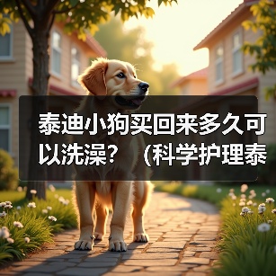 泰迪小狗买回来多久可以洗澡?(科学护理泰迪宝宝,洗澡时间一丝不差)(图3) 泰迪小狗买回来多久可以洗澡?(科学护理泰迪宝宝,洗澡时间一丝不差)(图3)