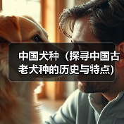 中国犬种(探寻中国古老犬种的历史与特点)(图2) 中国犬种(探寻中国古老犬种的历史与特点)(图2)