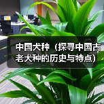 中国犬种(探寻中国古老犬种的历史与特点)(图4) 中国犬种(探寻中国古老犬种的历史与特点)(图4)