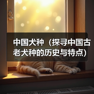 中国犬种(探寻中国古老犬种的历史与特点)(图3) 中国犬种(探寻中国古老犬种的历史与特点)(图3)