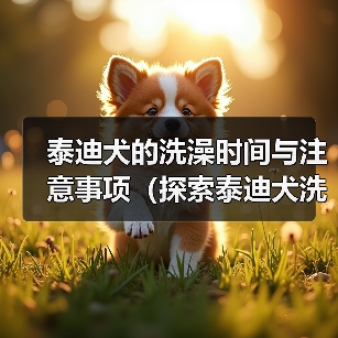 泰迪犬的洗澡时间与注意事项(探索泰迪犬洗澡的最佳时间和正确方式)(图1) 泰迪犬的洗澡时间与注意事项(探索泰迪犬洗澡的最佳时间和正确方式)(图1)