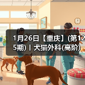 1月26日【重庆】(第125期)丨犬猫外科(高阶)班！含SUB(人人可实操)、乳糜胸等技术！（图4）