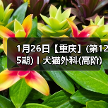1月26日【重庆】(第125期)丨犬猫外科(高阶)班！含SUB(人人可实操)、乳糜胸等技术！（图3）