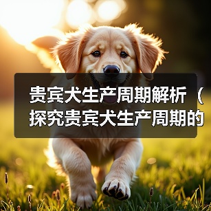 贵宾犬生产周期解析(探究贵宾犬生产周期的长短及影响因素)(图1) 贵宾犬生产周期解析(探究贵宾犬生产周期的长短及影响因素)(图1)