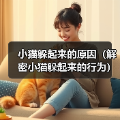 小猫躲起来的原因（解密小猫躲起来的行为）（图2）
