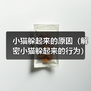 小猫躲起来的原因（解密小猫躲起来的行为）（图3）