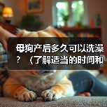 母狗产后多久可以洗澡?(了解适当的时间和方式,呵护新妈妈的健康)(图1) 母狗产后多久可以洗澡?(了解适当的时间和方式,呵护新妈妈的健康)(图1)