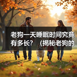 老狗一天睡眠时间究竟有多长？（揭秘老狗的睡眠习惯与需求）（图4）
