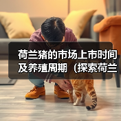 荷兰猪的市场上市时间及养殖周期(探索荷兰猪饲养时间的关键因素)(图3) 荷兰猪的市场上市时间及养殖周期(探索荷兰猪饲养时间的关键因素)(图3)