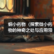 细小药物(探索微小药物的神奇之处与应用领域)(图4) 细小药物(探索微小药物的神奇之处与应用领域)(图4)