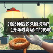 狗配种后多久能洗澡?(洗澡对狗配种的影响及最佳时间选择)(图2) 狗配种后多久能洗澡?(洗澡对狗配种的影响及最佳时间选择)(图2)