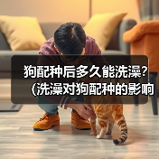 狗配种后多久能洗澡?(洗澡对狗配种的影响及最佳时间选择)(图4) 狗配种后多久能洗澡?(洗澡对狗配种的影响及最佳时间选择)(图4)