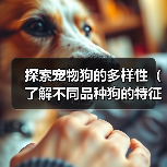 探索宠物狗的多样性(了解不同品种狗的特征与性格,选择最适合您的宠物伙伴)(图2) 探索宠物狗的多样性(了解不同品种狗的特征与性格,选择最适合您的宠物伙伴)(图2)