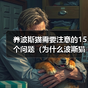 养波斯猫需要注意的15个问题（为什么波斯猫不适合所有人养？-猫）（图1）