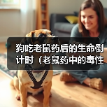 狗吃老鼠药后的生命倒计时(老鼠药中的毒性对狗的影响及危害)(图3) 狗吃老鼠药后的生命倒计时(老鼠药中的毒性对狗的影响及危害)(图3)