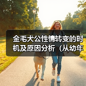 金毛犬公性情转变的时机及原因分析(从幼年到成年)(图1) 金毛犬公性情转变的时机及原因分析(从幼年到成年)(图1)
