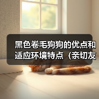 黑色卷毛狗狗的优点和适应环境特点(亲切友善、适合家庭生活的黑色卷毛狗狗)(图4) 黑色卷毛狗狗的优点和适应环境特点(亲切友善、适合家庭生活的黑色卷毛狗狗)(图4)