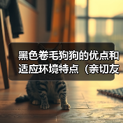 黑色卷毛狗狗的优点和适应环境特点(亲切友善、适合家庭生活的黑色卷毛狗狗)(图3) 黑色卷毛狗狗的优点和适应环境特点(亲切友善、适合家庭生活的黑色卷毛狗狗)(图3)