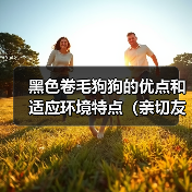 黑色卷毛狗狗的优点和适应环境特点(亲切友善、适合家庭生活的黑色卷毛狗狗)(图2) 黑色卷毛狗狗的优点和适应环境特点(亲切友善、适合家庭生活的黑色卷毛狗狗)(图2)