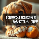 8张图带你解锁新技能——膀胱切开术（附手术视频）（图4）