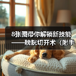 8张图带你解锁新技能——膀胱切开术（附手术视频）（图1）