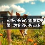 选择小狗名字的重要手续（为你的小狗选择一个恰当的名字的15个步骤）（图3）