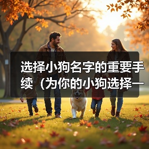 选择小狗名字的重要手续（为你的小狗选择一个恰当的名字的15个步骤）（图1）