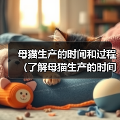 母猫生产的时间和过程(了解母猫生产的时间和过程,帮助您关心和照顾猫咪健康)(图1) 母猫生产的时间和过程(了解母猫生产的时间和过程,帮助您关心和照顾猫咪健康)(图1)