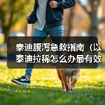 泰迪腹泻急救指南(以泰迪拉稀怎么办最有效)(图1) 泰迪腹泻急救指南(以泰迪拉稀怎么办最有效)(图1)