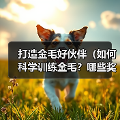 打造金毛好伙伴(如何科学训练金毛?哪些奖励适合金毛?让你的宠物更聪明)(图1) 打造金毛好伙伴(如何科学训练金毛?哪些奖励适合金毛?让你的宠物更聪明)(图1)
