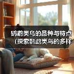 鹦鹉类鸟的品种与特点(探索鹦鹉类鸟的多样性及迷人之处)(图2) 鹦鹉类鸟的品种与特点(探索鹦鹉类鸟的多样性及迷人之处)(图2)